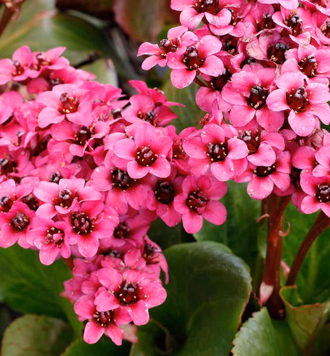 79d20881492971627315c147ea8620d6