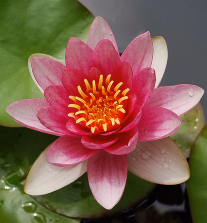 79f716b7e34cc51afd2a8f4a0d8a13df