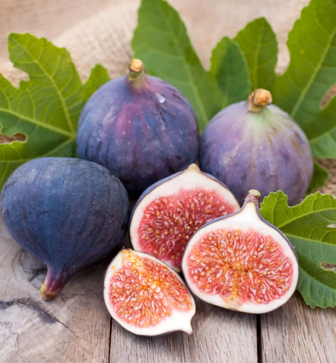 7a01caf0b9ae5156ba28c8ac5e8e038a