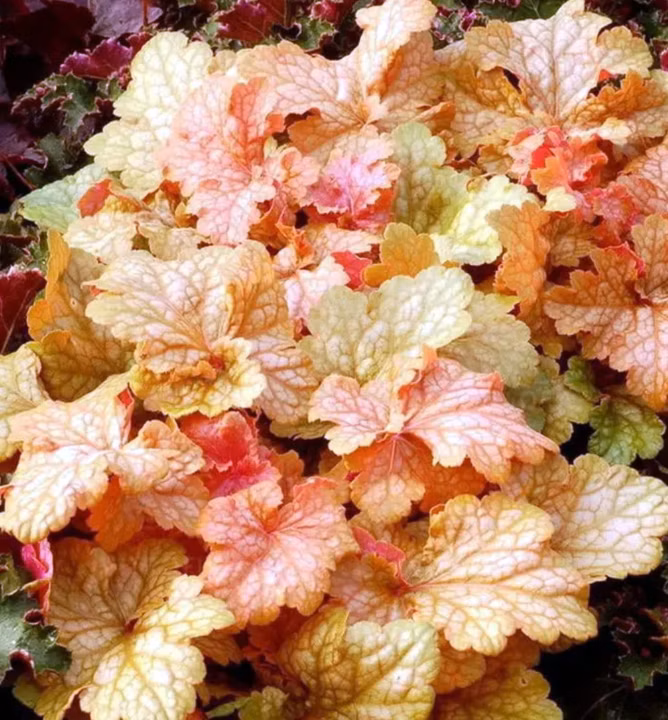 7a3e49bae2cdf879736f56fccdb8dada