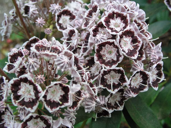 7aee9bf83b6a1e74e549794e0d6aec19