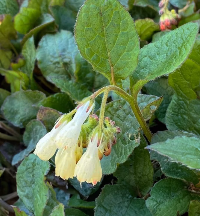 7af9c86baac2bca5be65991ba786ce46