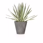 7b204201b4f11112f52d5bda983f7577