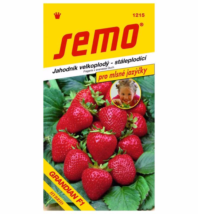 7b2b8973f6748b0d84af35413a405f41