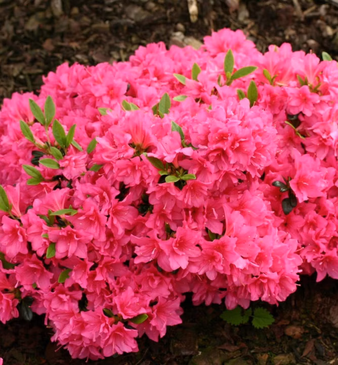 7b2d1f8fb16b8c18c1715216b5f55042