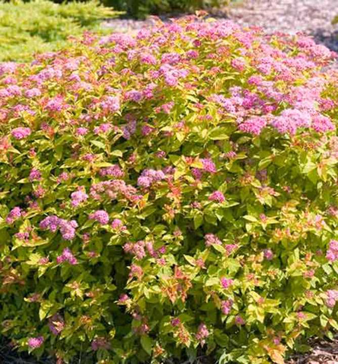 7b438736d50757fd0255199703a059f1