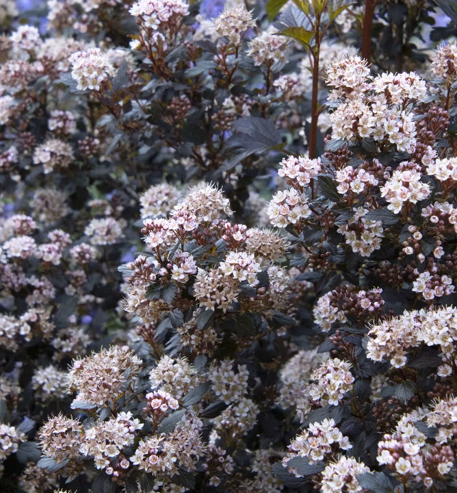 7b491cdbd914d08111ae5ac5135ed5b4