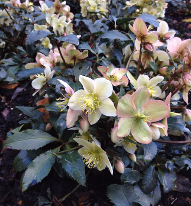 7b7bf757d1fb47bf7e120ca283d0d72f