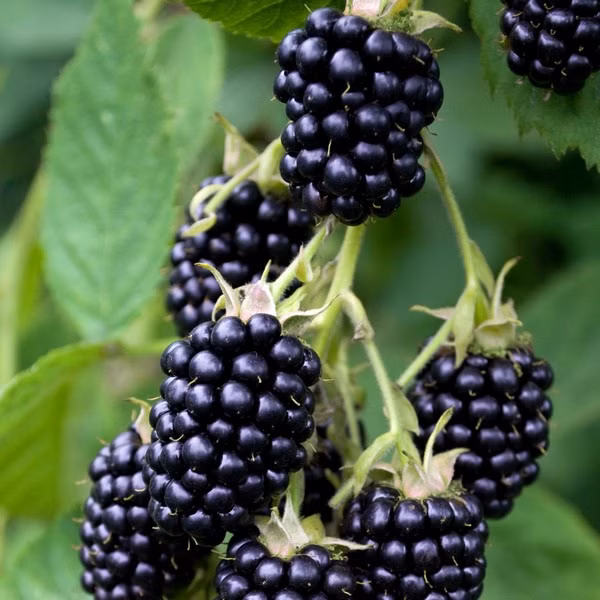 7b7ce9074c3e64c2f997716220d7bc8f