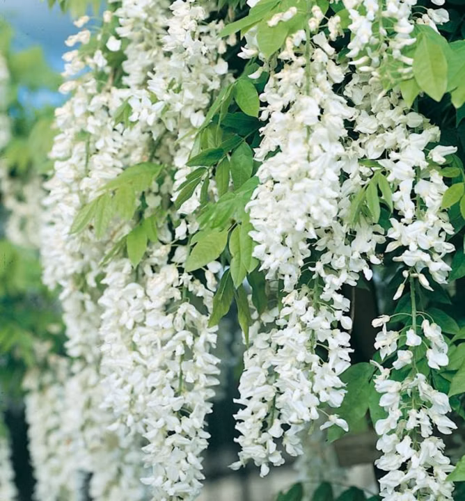 7b89f4e53065fbc525f9b467264d0485