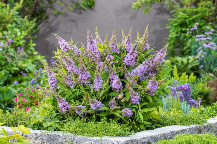 7b923b13fa25b9d200191252c8808174