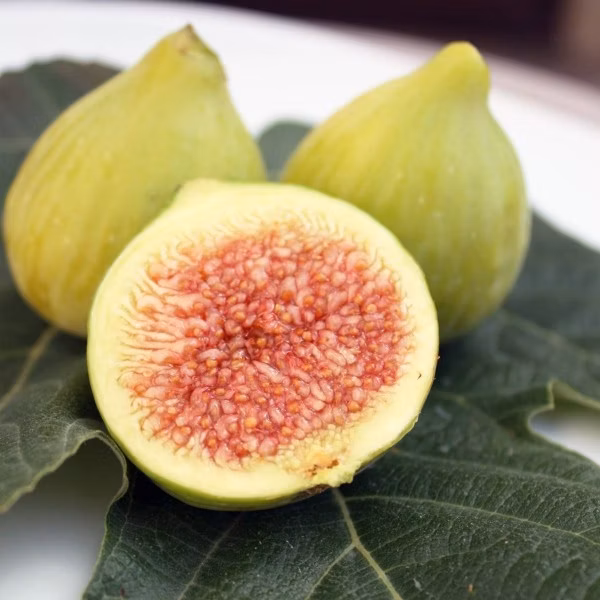 7b9d2f1c4ad281bd6cf1b4539cb5927f