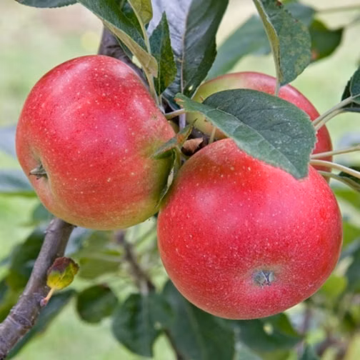 7ba8b31e52247726294beb2b84572a29