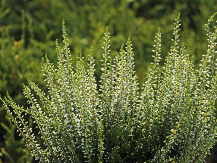 7bbc9236bbfb3d3d05c2c392245099f8