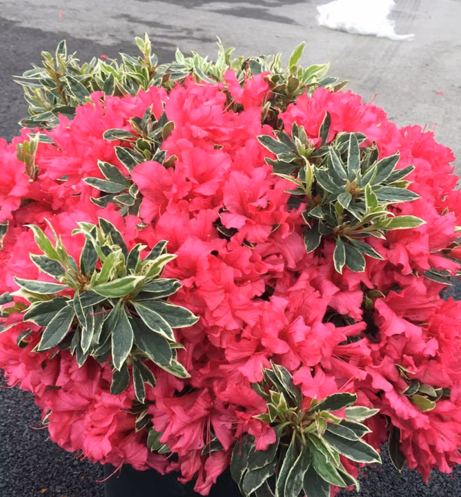 7bc9eb33804438c62f8d79e60595e119