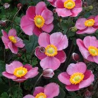 7beb41c89468e0413eeb6088a682bec7