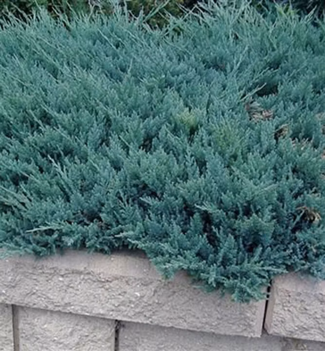 7cbd54c177b06f070a269143624f9c08