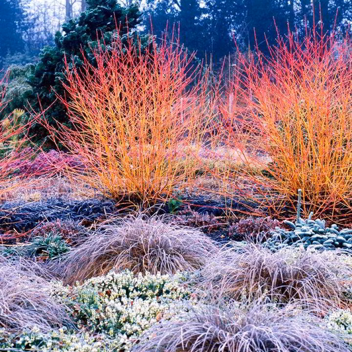 7cd1a89d30bd7b4f6d019044ccc54736