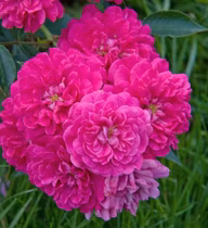 7d0983458342feb5d35a116f1e873111