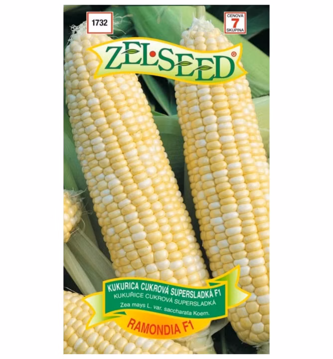 7d15862faa4f9bc34251266d14601b48