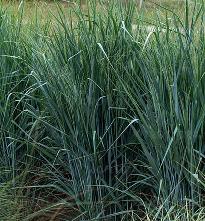 7d2c4980c44b0ab456580ca68ec459e2