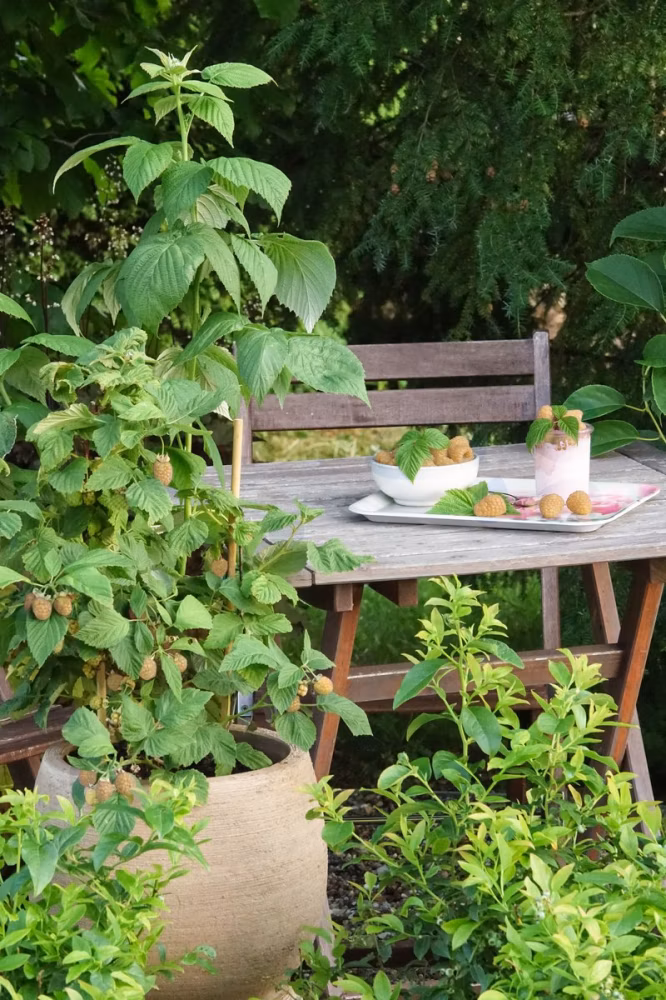 7d41816990feb9f0eb15859876a932f0