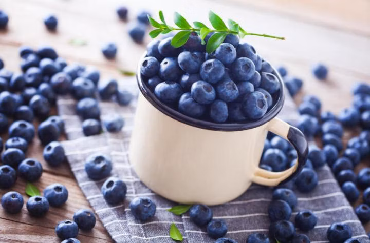 7d6323476fd37225c7c1548059d23b07