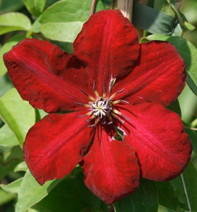 7dddb0879da2b7fccfd29b124222b6d6