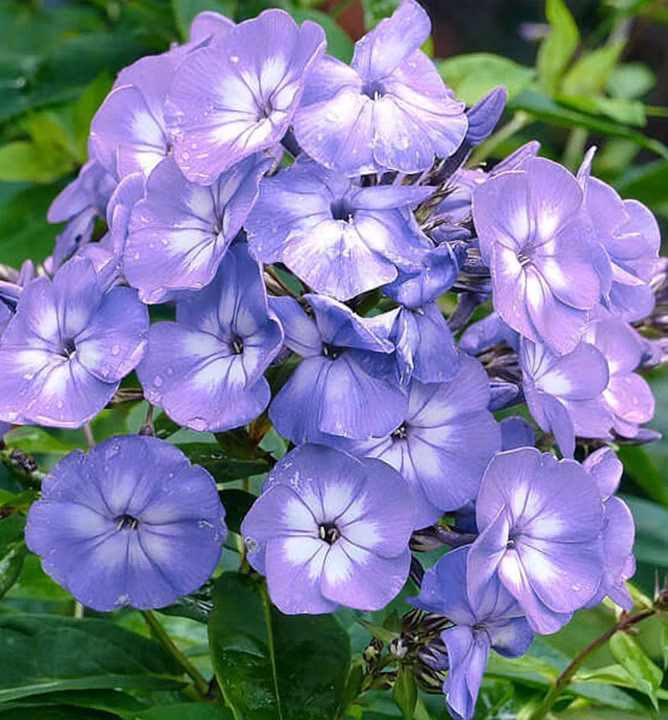 7dec46902fa16a1abb0b990882f11a0c