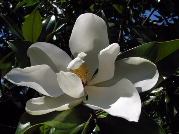 7df26d3636aec6e5b3c672e9bd83581e