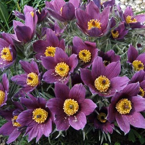 7df5938521e2a1342c060441886caaa8