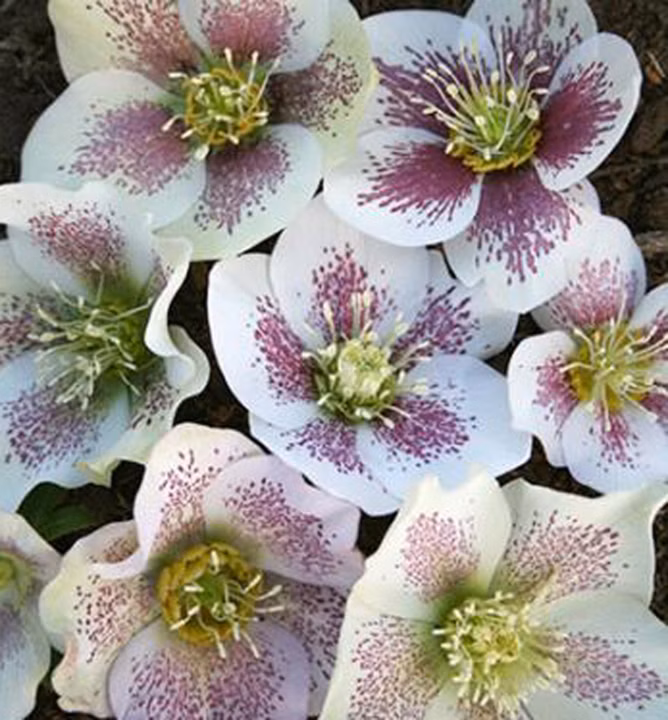 7dfdc380699f0d17b300cfc65cfc3723