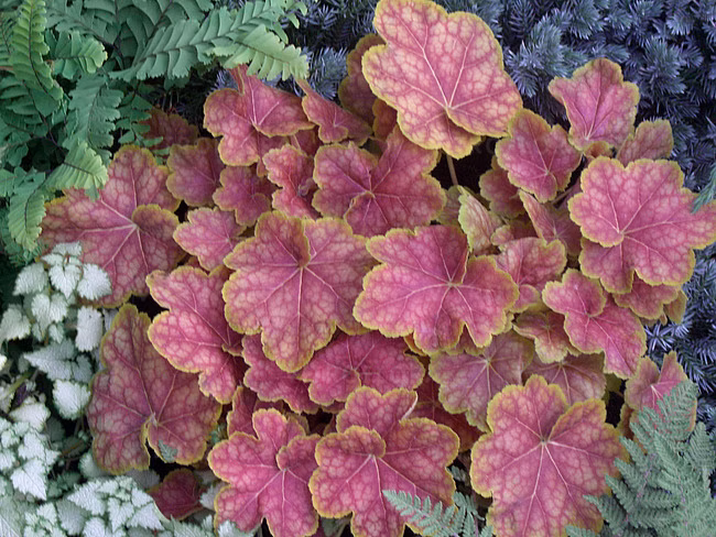 7e0bd3c1aa38213cba056a5d54fa51e2