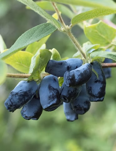 7e16880a778200a036fbf8215fc817df