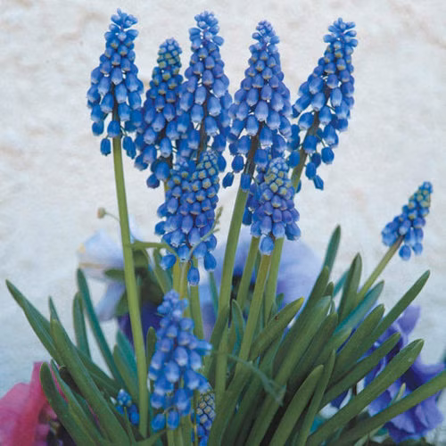 7e23abc789557ff024345f0a975ac669