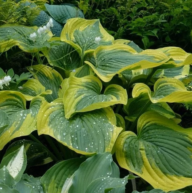 7e886e7eca4327d36c8b229574a1541d