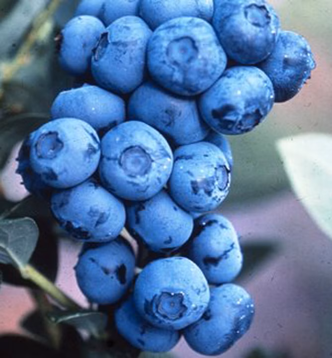 7e9395ff61ad45fdaa727eb61a3f8ddd