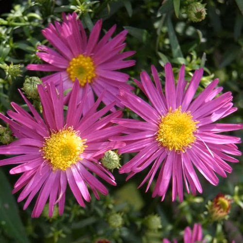 7ea88a8e558e457448f6286204ec2c80