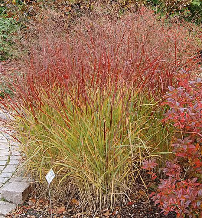 7eae694b5db52e42bbc1b021bcb05c55