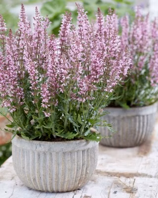 7f027642aaa52655e5b561a825edfc15