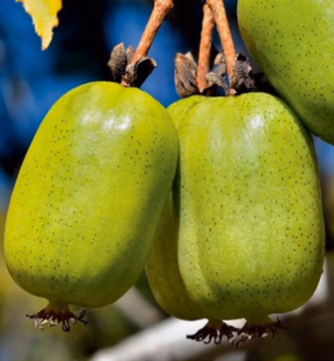 7f2346764d7fd455283500cef8abe99f