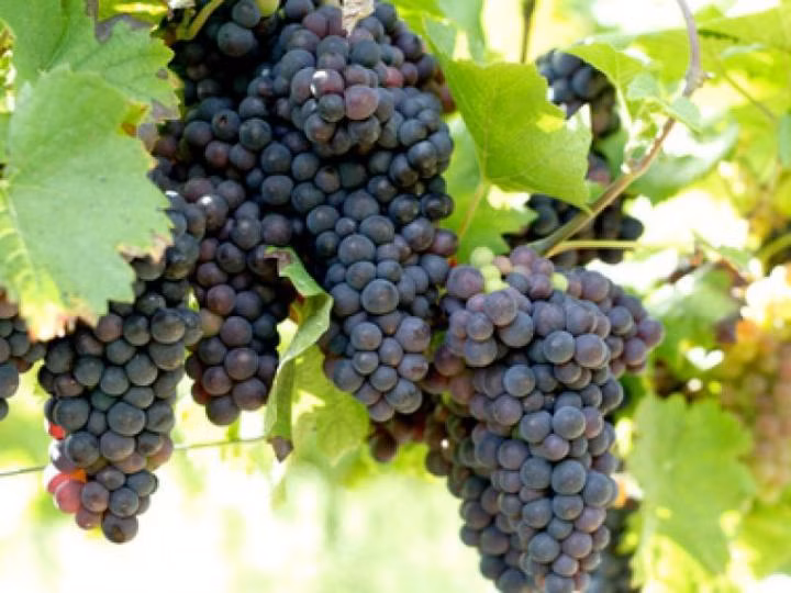 7f27e53ea127332156a5f4ac38c1f290