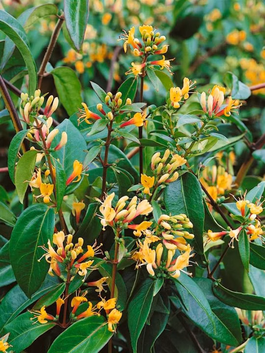 7f4ea00638125f652d253d2532770b08