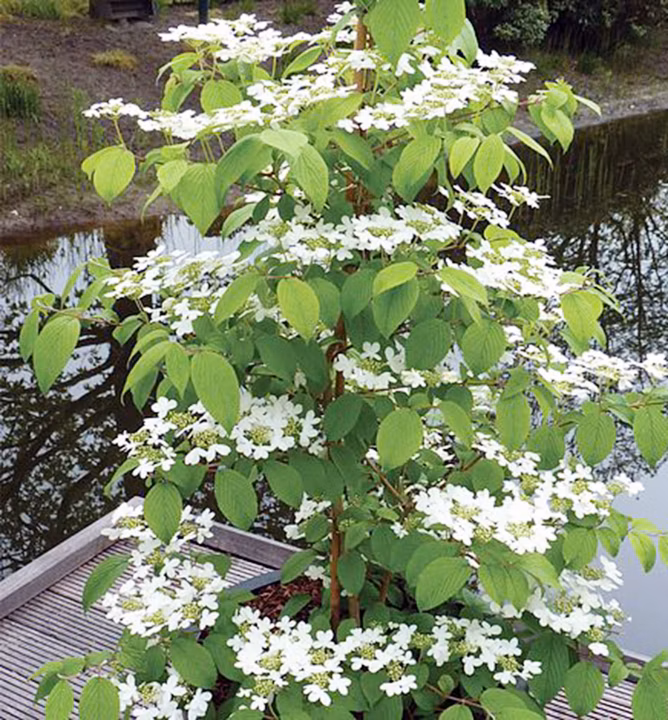 7f53620271ab3eaf6d963ef371b55170