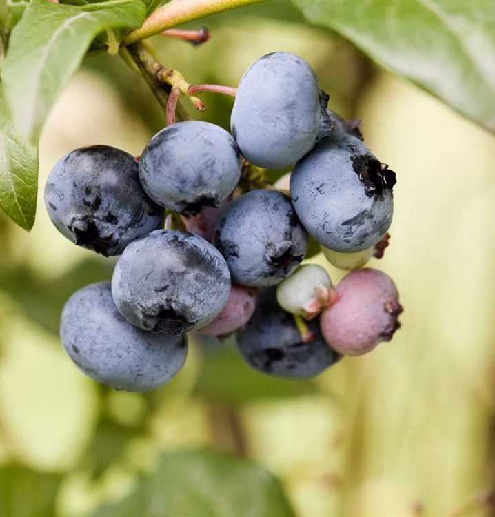 7f6bca25c7957f631aa5df4402e71266