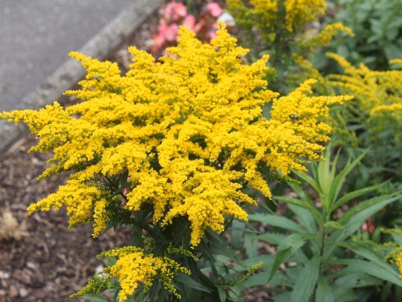 7f84f927593e9e5e0d1a322e46d0023f