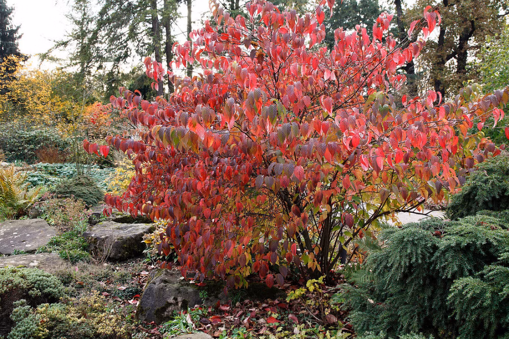 7fd0e38095ba806ddb65dbfbcdee02d3