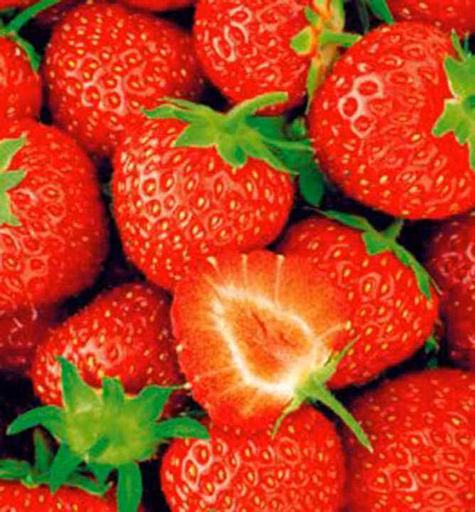 7ff7ef8139f1cd3dfaf9da5f0cdec727