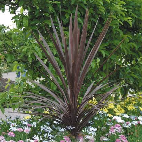 800d607e75e2b8323b24735d1a63b65e