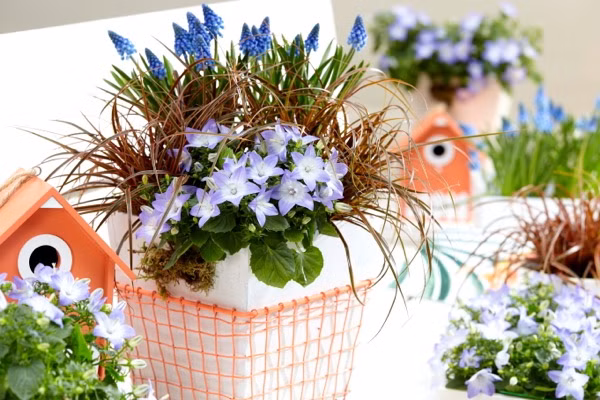 801d8978b19a6b110f8cffdeb2ca30ac